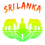 Discover Sri Lanka Elephants with Buddha Colourful Gift T-Shirts