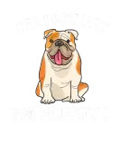 Discover I_m Not Fat I_m Fluffy Funny T-Shirts, Bulldog fat f