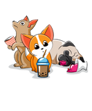Discover Dog coffee ice cream tea Corgi Pug Doggie Puppy