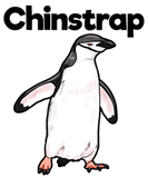 Discover Chinstrap Penguin Penguins Cartoon Comic T-Shirts