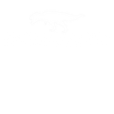 Discover Rexcellent - Dinosaur, Dino, Tyrannosaurus T-Shirts