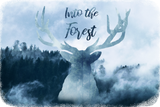 Discover into the forest - hiking moose fog nature travel T-Shirts