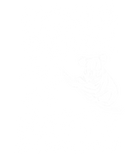 Discover Koala bears happiness T-Shirts