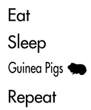 Discover Eat Sleep Guinea Pigs Repeat - Guinea Pig Design T-Shirts
