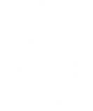 Discover WIFE. CAT MOM. TEACHER. T-Shirts