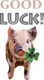 Discover Lucky Pig Piglet Gift Idea