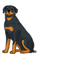 Discover Just A Girl Who Loves Rottie Rottweiler Dog T-Shirts