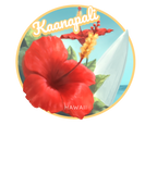 Discover Kaanapali Hawaii Surfing Beach T-Shirts