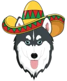 Discover Kids Cinco De Mayo Husky T-Shirts Dog Mexico