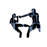 Discover Mixed martial arts MMA fight silhouette