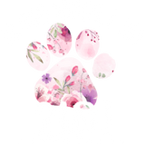 Discover 30th Birthday 210 Dog Years Gift Paw Dog T-Shirts