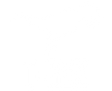 Discover T Rex tyrannosaurus rex Dino Dinosaurier Tis oert T-Shirts