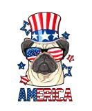 Discover America Pug Dog Owner 4th of July USA Flag Men Wom T-Shirts