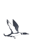 Discover Loon Ranger Binoculars Bird Watching Hatchery T-Shirts