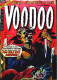 Discover Voodoo Comics T-Shirts