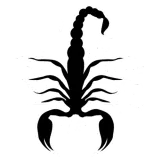 Discover Animals Black Scorpion Scorpio Gift Idea T-Shirts