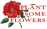 Discover Plant some Flowers Rosemotif