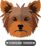 Discover Yorkshire Terrier Cute Yorkie Dog T-Shirts