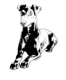 Discover Manchester Terrier Cute Pet Dog Sitting Sketch Men T-Shirts