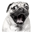 Discover Pug Life Funny Dog T-Shirts