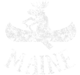 Discover Maine Funny Moose Canoe Vacation T-Shirts