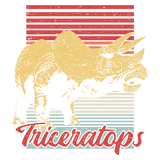 Discover Triceratops Vintage Dinosaur T-Shirts