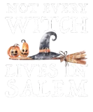 Discover Not Every Witch Lives In Salem Halloween Vintage T-Shirts
