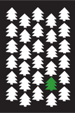 Discover Pine forest black T-Shirts