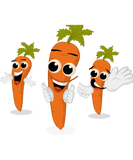 Discover Happy Carrot; Happy; Vegan; Rabbit