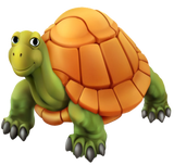 Discover 3D Turtle T-Shirts