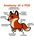 Discover Anatomy Of A Fox Funny T-Shirts