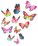 Discover Butterfly Caterpillar T-Shirts