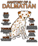 Discover Anatomy of a dalmatian polkadots cute dog present T-Shirts