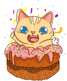 Discover Birthday Cake Cat Surprise Kitty