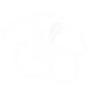 Discover Classic Hawaii Hibiscus Flower T-Shirts