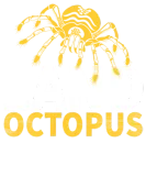 Discover Funny Spiders Bug Gift Land Octopus Tarantula T-Shirts