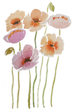 Discover Handdrawn Watercolor Dancing Poppies T-Shirts