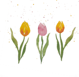 Discover Hand drawn Watercolor Tulips