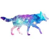 Discover Galaxy vintage dog T-Shirts