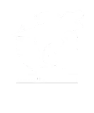Discover Daddysaurus, Dad, Dinosaurus, T-Rex T-Shirts