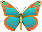 Discover D12 Monarch Butterfly Blue and Orange Dream T-Shirts