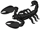 Discover Black Scorpion, Scorpio horoscope T-Shirts