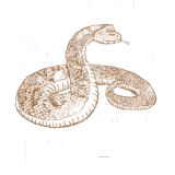 Discover Pet Eat Dog Cat Snake Bite Venom T-Shirts