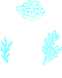 Discover Coral nature marine protection coral lives matter T-Shirts