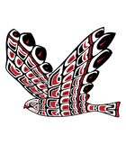 Discover Red Tail Hawk Pacific Northwest Native American St T-Shirts