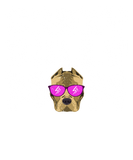 Discover Crazy Bully Mom | American Bully Gift T-Shirts
