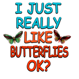 Discover i just really like butterflies ok?