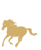 Discover Horses Make Me Happy - Horse T-Shirts