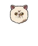 Discover Cat Mom Love-r, Funny Cute Exotic Shorthair Kitty T-Shirts