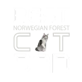 Discover Best Norwegian Forest Cat Dad T-Shirts